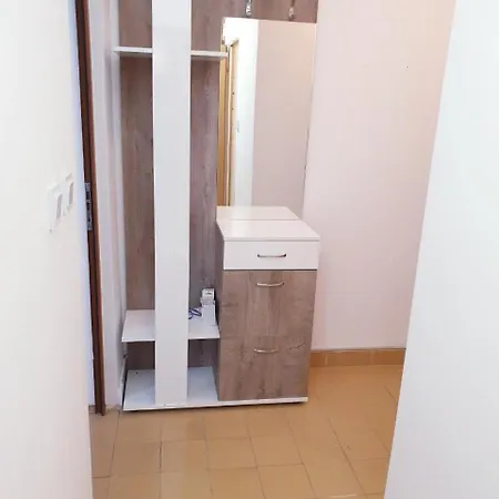 за братя миладинови 1 *